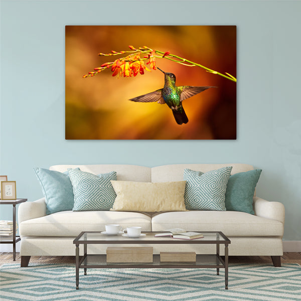 Autumn Hummingbird