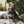 Load image into Gallery viewer, Ultimate Pet Session - Artbox Printers
