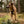 Load image into Gallery viewer, Outdoor Pet Session - Artbox Printers
