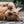 Load image into Gallery viewer, Ultimate Pet Session - Artbox Printers
