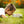 Load image into Gallery viewer, Outdoor Pet Session - Artbox Printers
