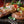 Load image into Gallery viewer, Small Food Photography Package - Artbox Printers
