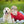 Load image into Gallery viewer, Outdoor Pet Session - Artbox Printers
