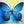 Load image into Gallery viewer, The Blue Butterfly - Artbox Printers
